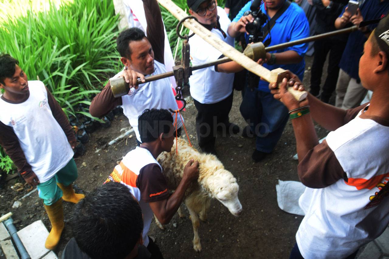 ACT Gelar Farm Tour...