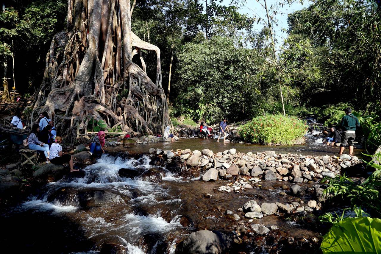 Berwisata di Akar Seribu,...