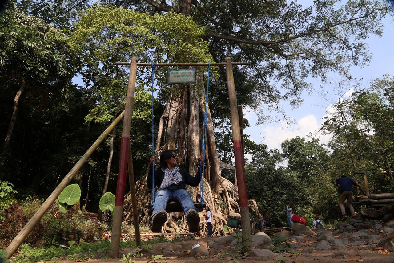 Berwisata di Akar Seribu,...