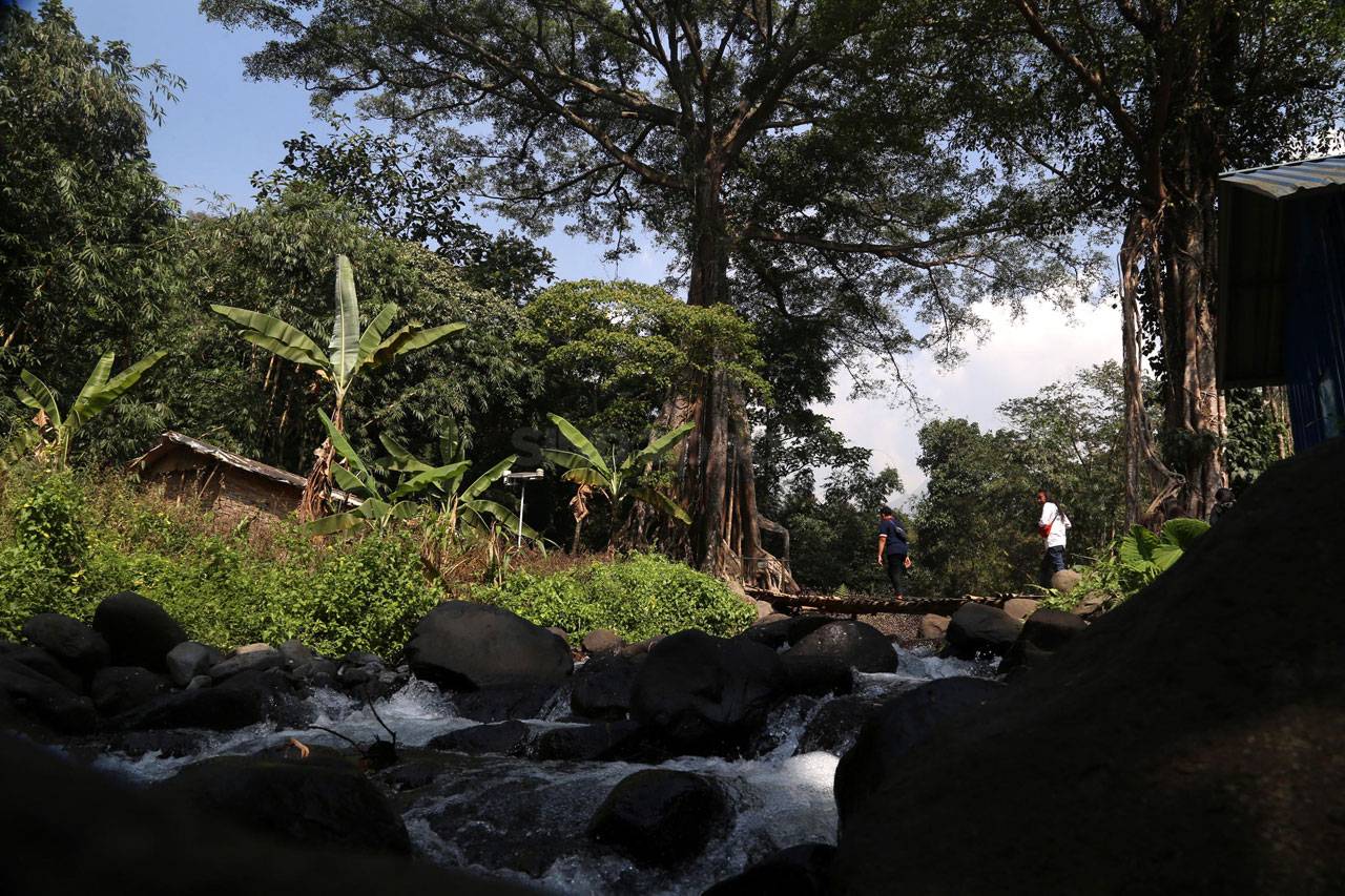 Berwisata di Akar Seribu,...