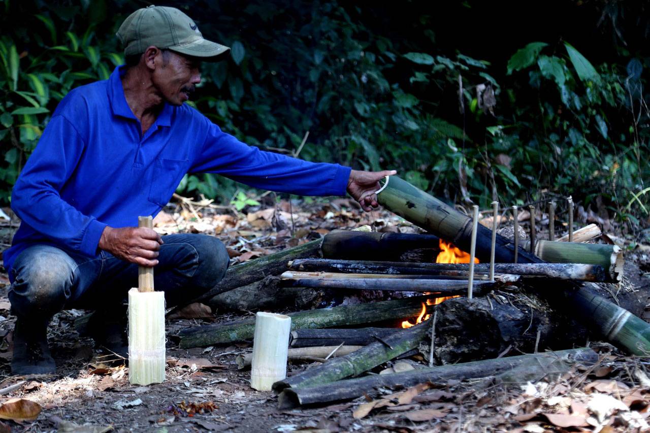 Berwisata di Akar Seribu,...