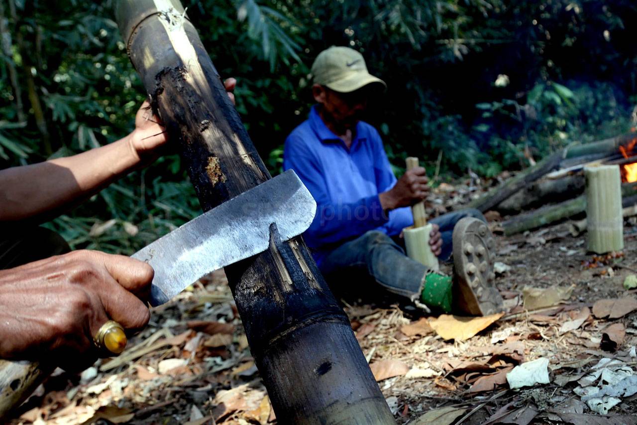 Berwisata di Akar Seribu,...