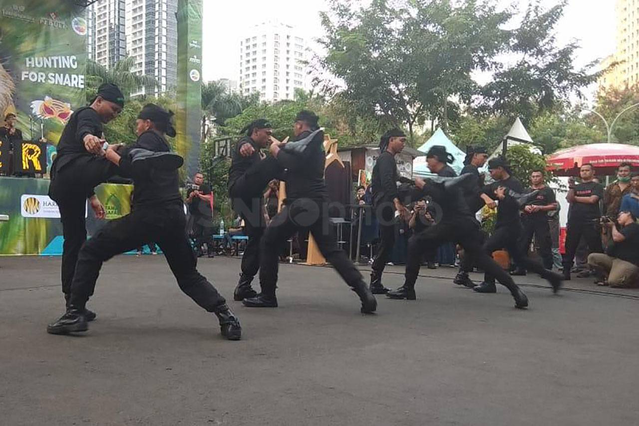 Kemeriahan Hari Harimau...