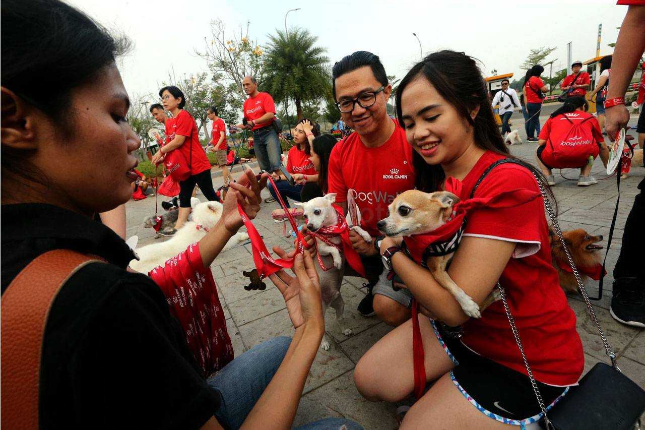Royal Canin Gelar Dog...