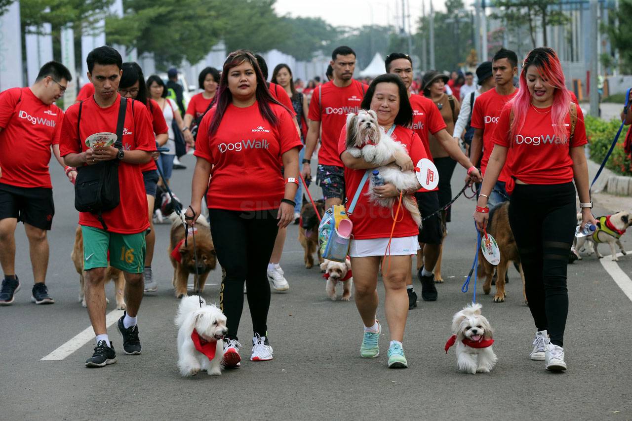 Royal Canin Gelar Dog...