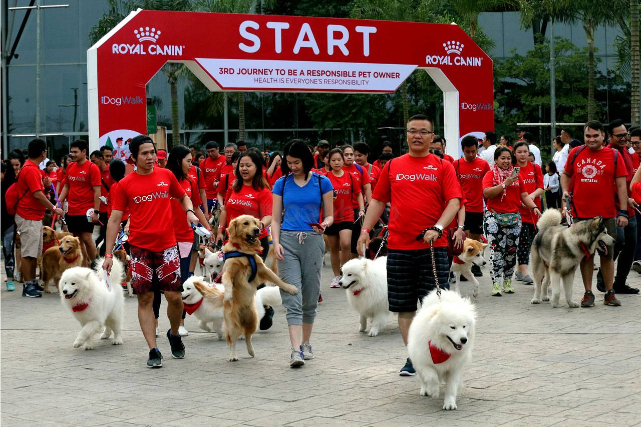 Royal Canin Gelar Dog...