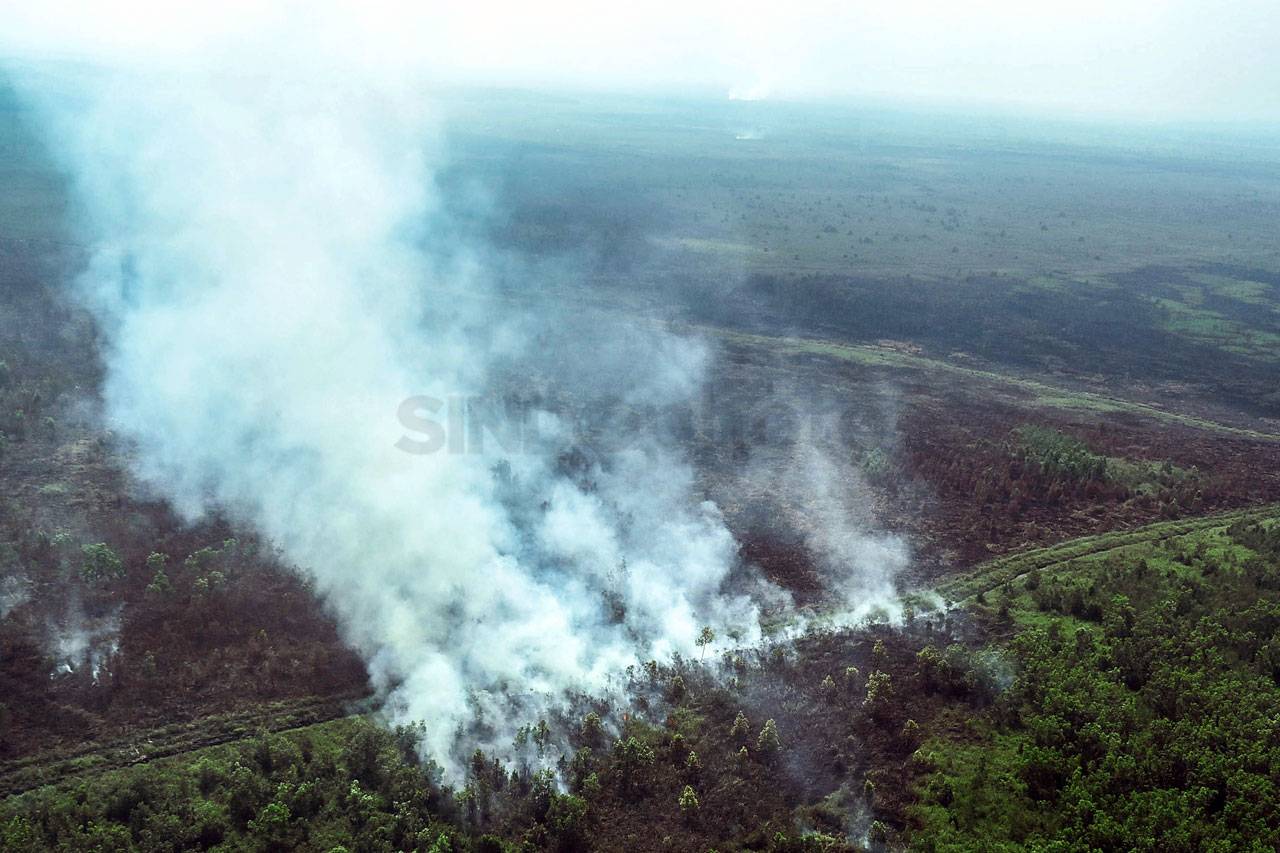Kebakaran Lahan Masih...