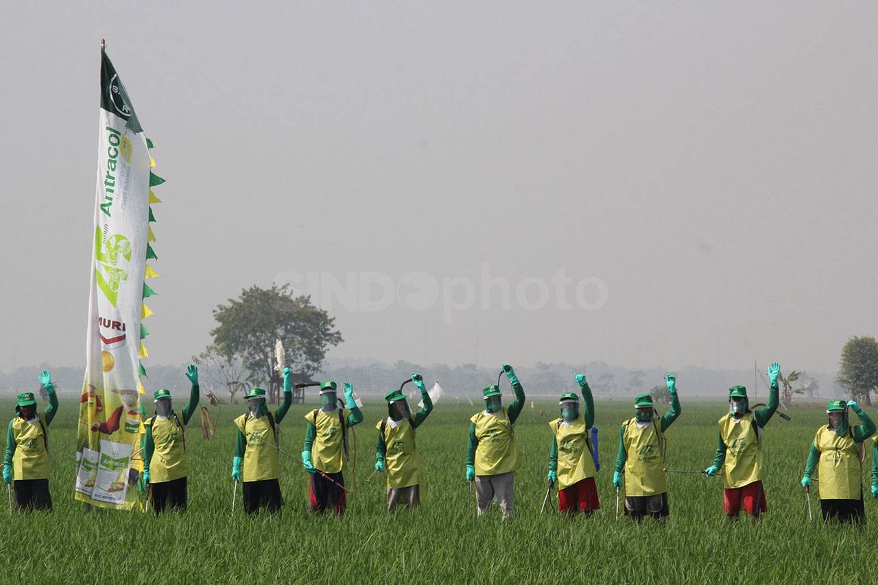 Bayer Gelar Fungisida...