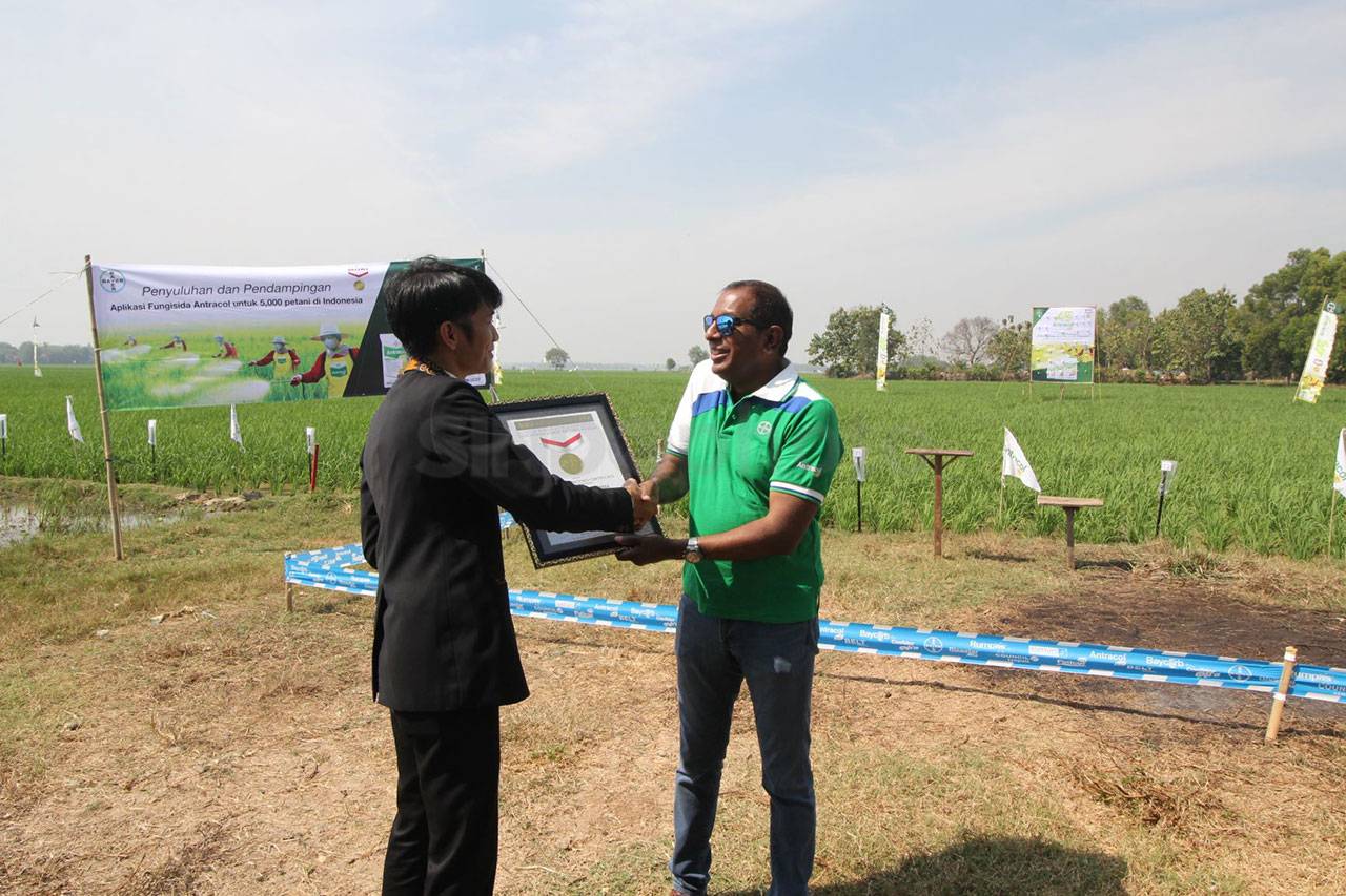 Bayer Gelar Fungisida...