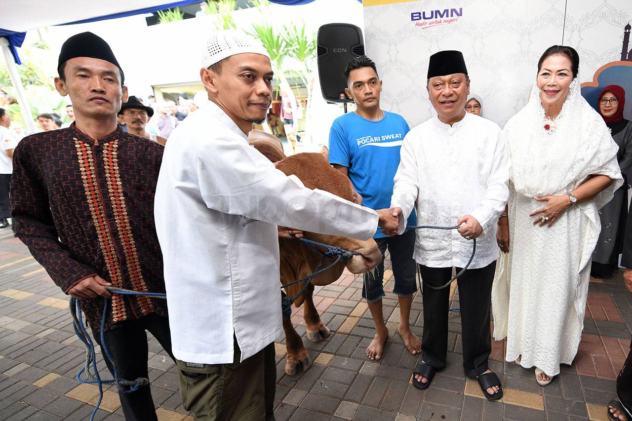 BTN Sembelih 1.337 Ekor...