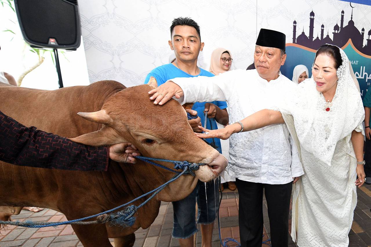 BTN Sembelih 1.337 Ekor...