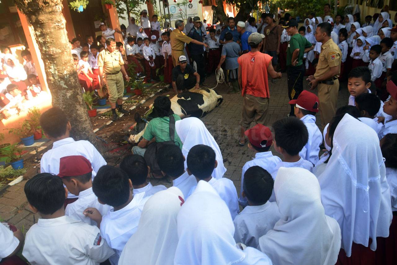 SDN Bulusan Kenalkan...