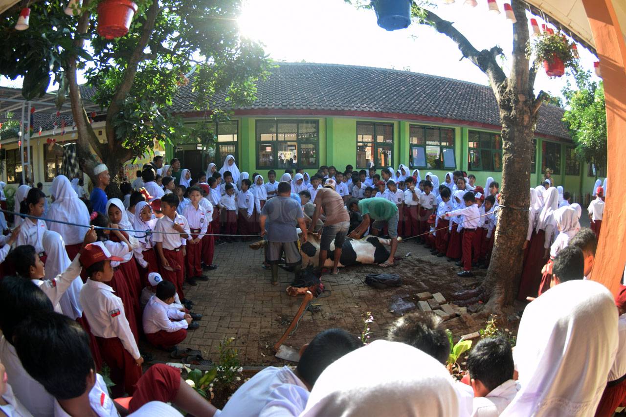 SDN Bulusan Kenalkan...