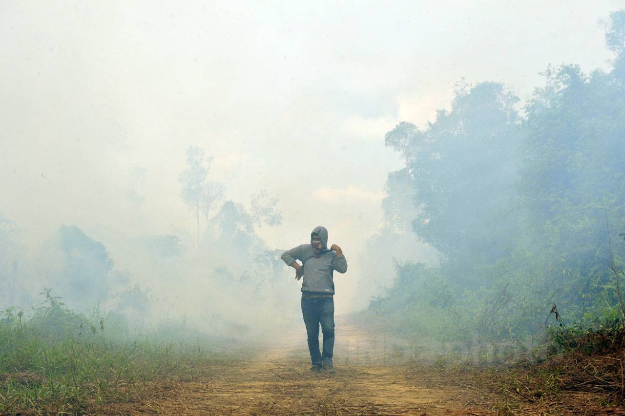 Lahan Gambut di Muarojambi...