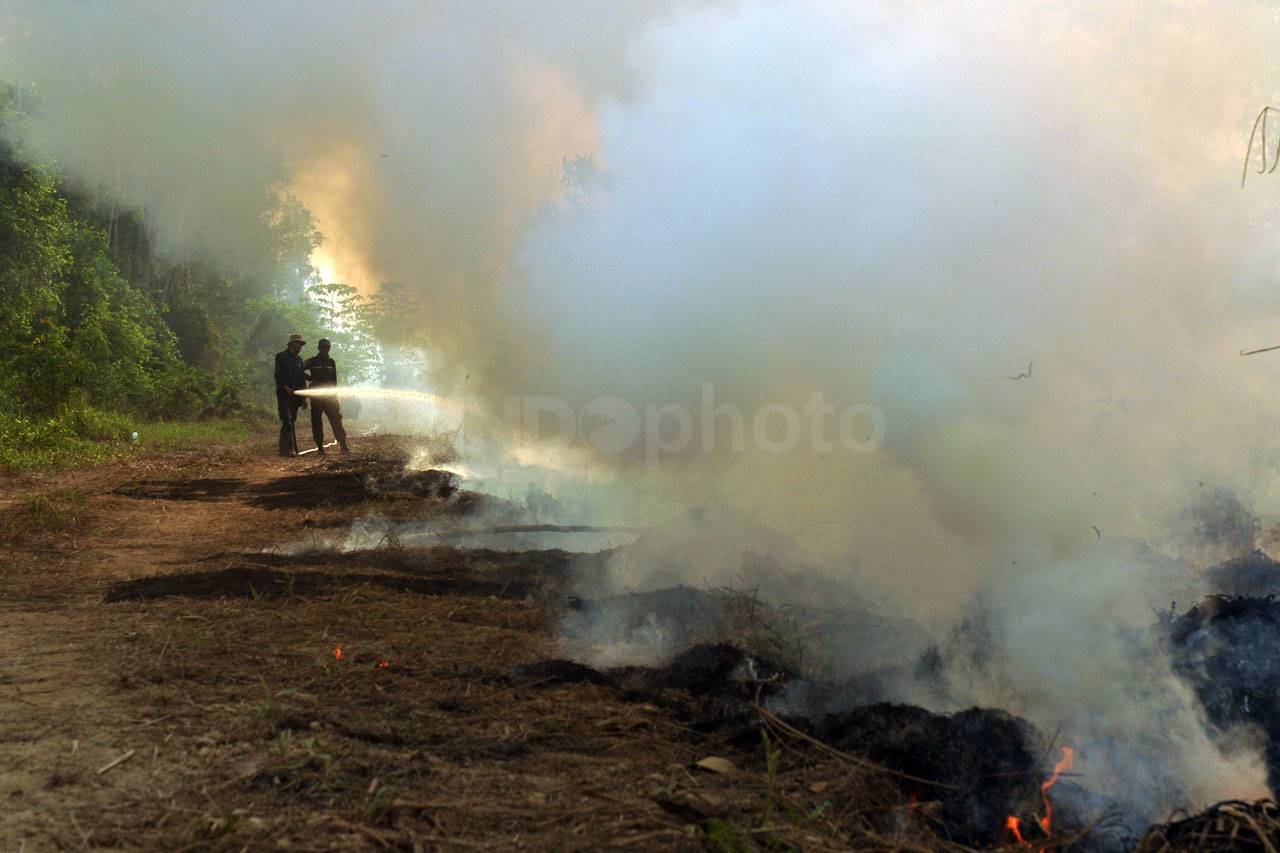 Lahan Gambut di Muarojambi...