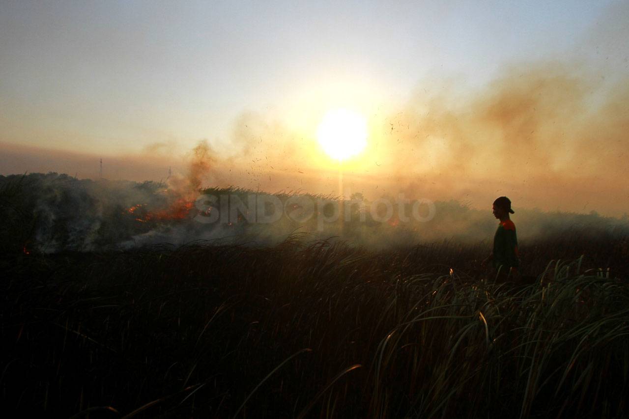 Kebakaran Lahan di Tanah...