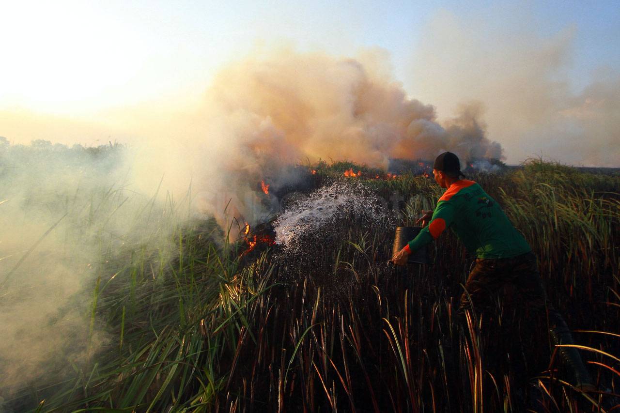 Kebakaran Lahan di Tanah...