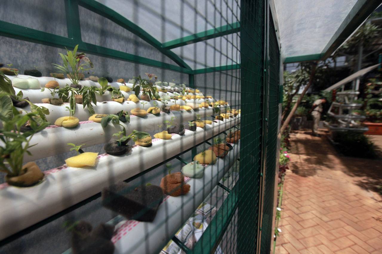 Balkot Farm Jadi Percontohan...