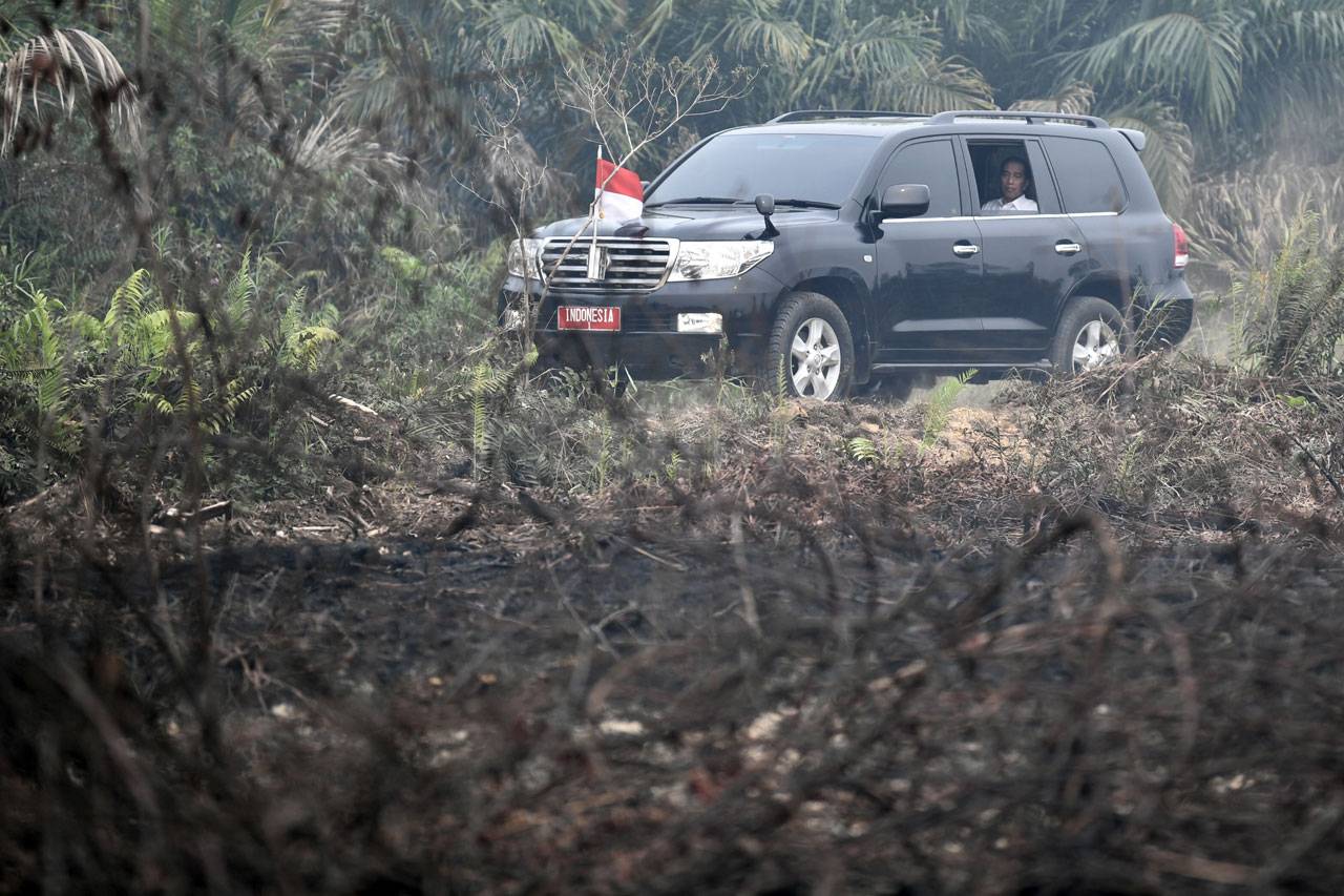 Presidan Jokowi Tinjau...