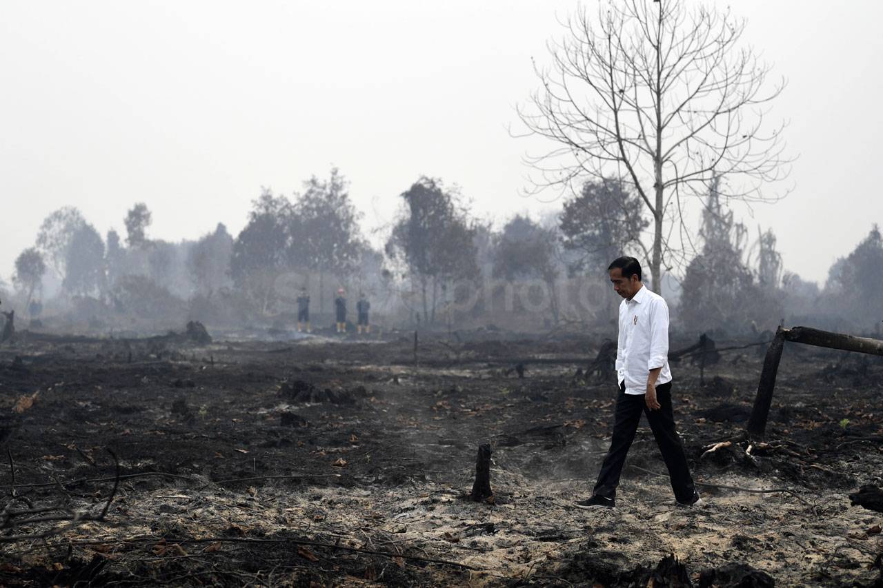 Presidan Jokowi Tinjau...
