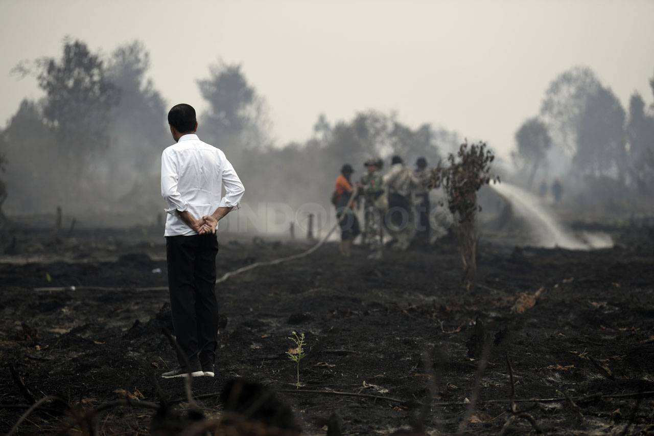 Presidan Jokowi Tinjau...