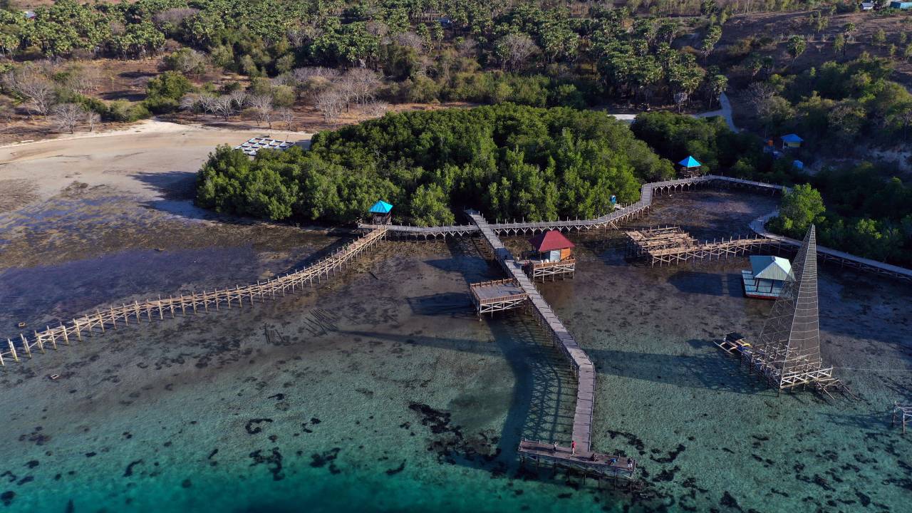 Eksotisnya Wisata Hutan...
