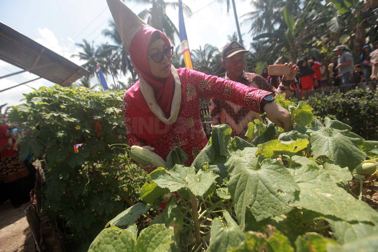 Ketua PKK Pasangkayu...