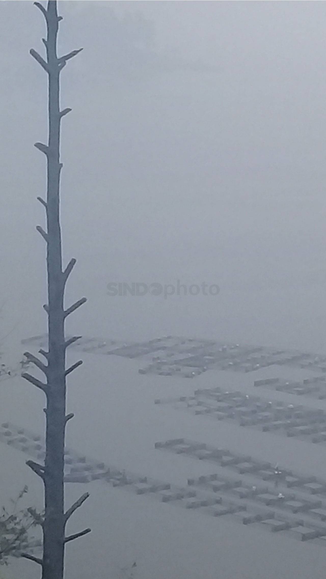 Danau Toba Diselimuti...