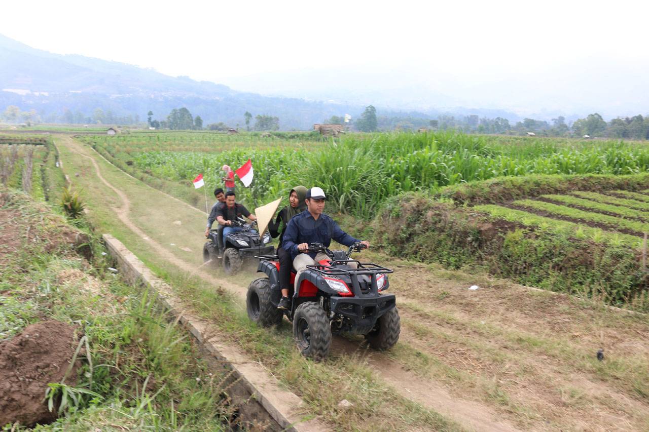OJK Dorong Optimalisasi...