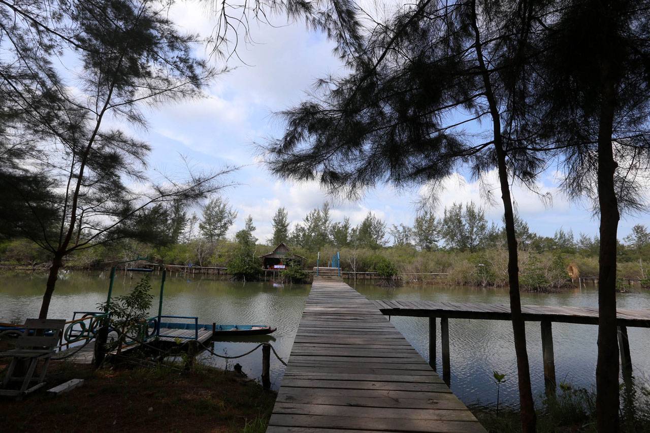 Indahnya Ekowisata Hutan...