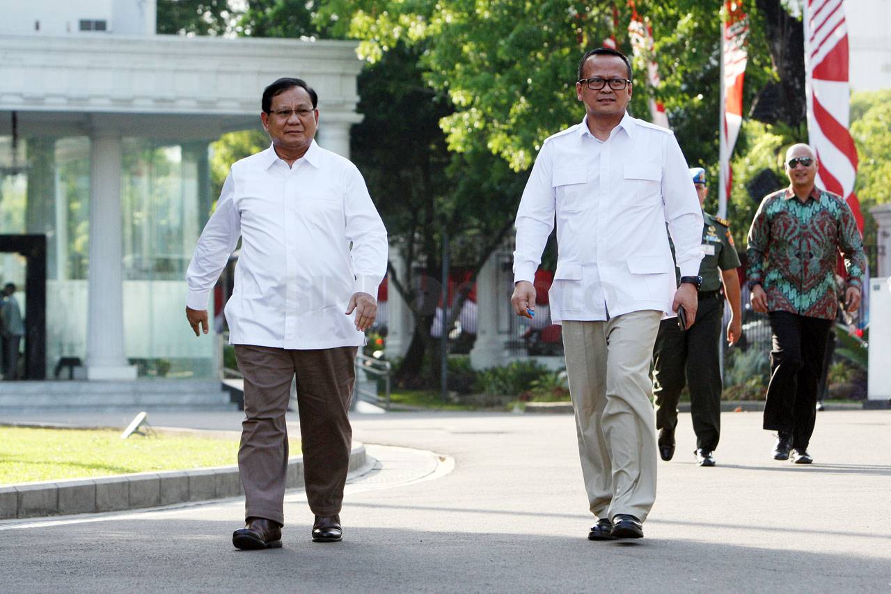 Dipanggil ke Istana,...