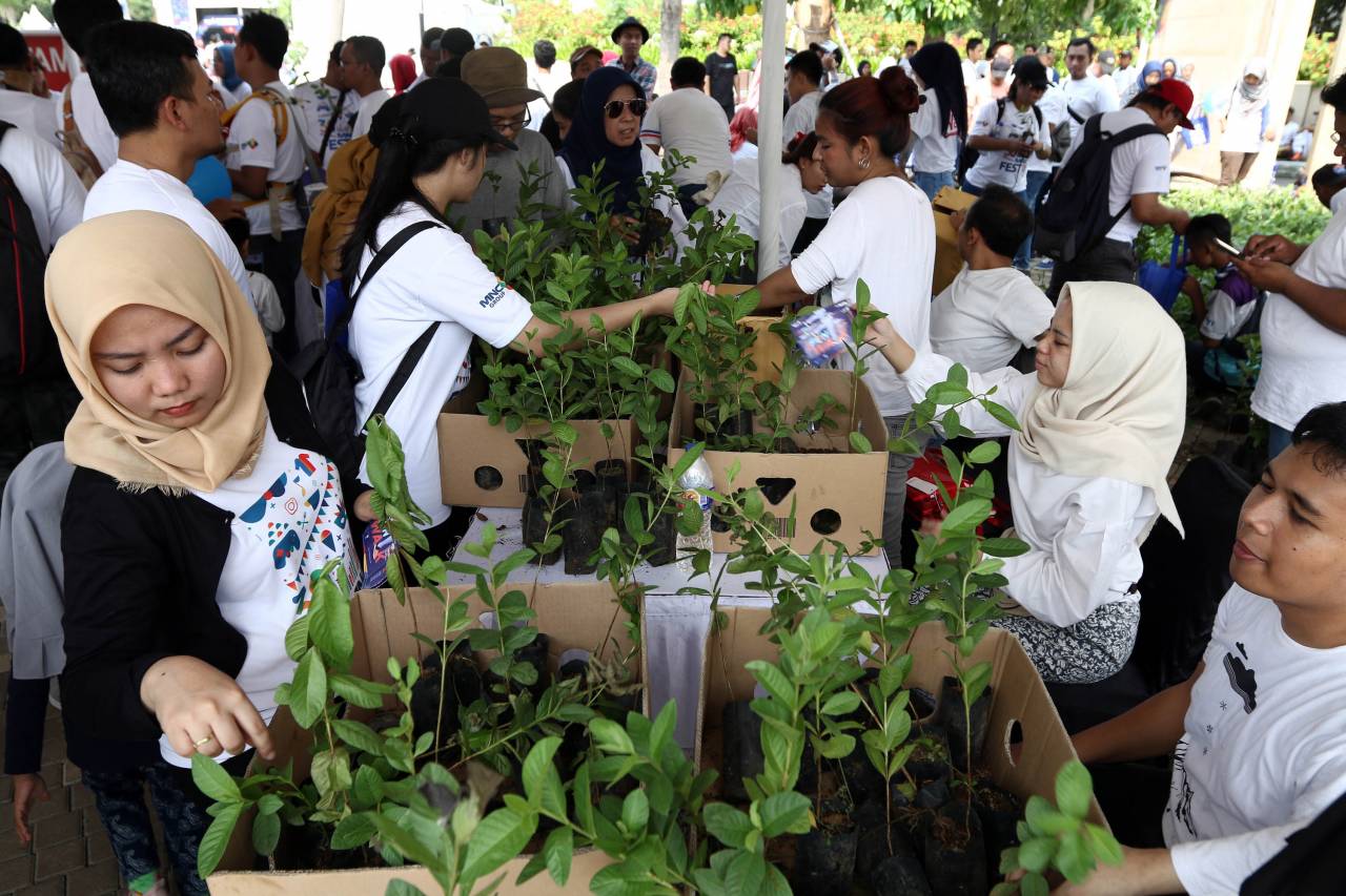 Eco Fun Walk Hingga...
