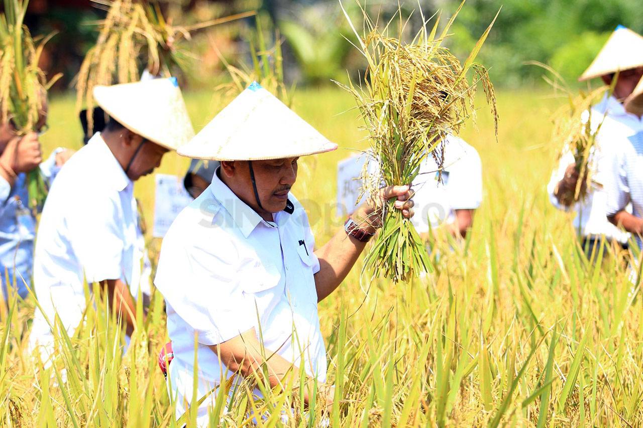 Petani di Bontang Inisiasi...