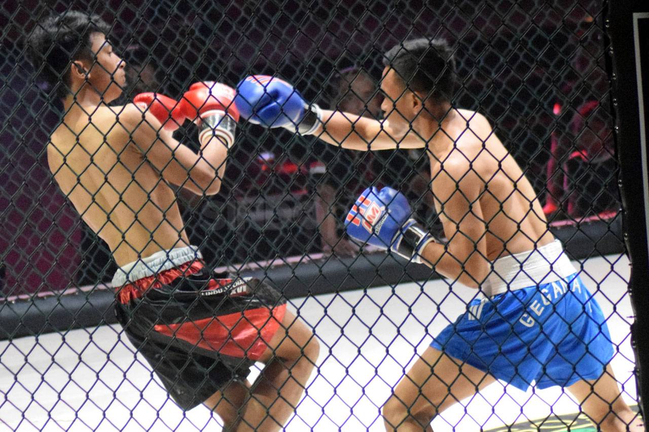 Serunya Duel Fighter...