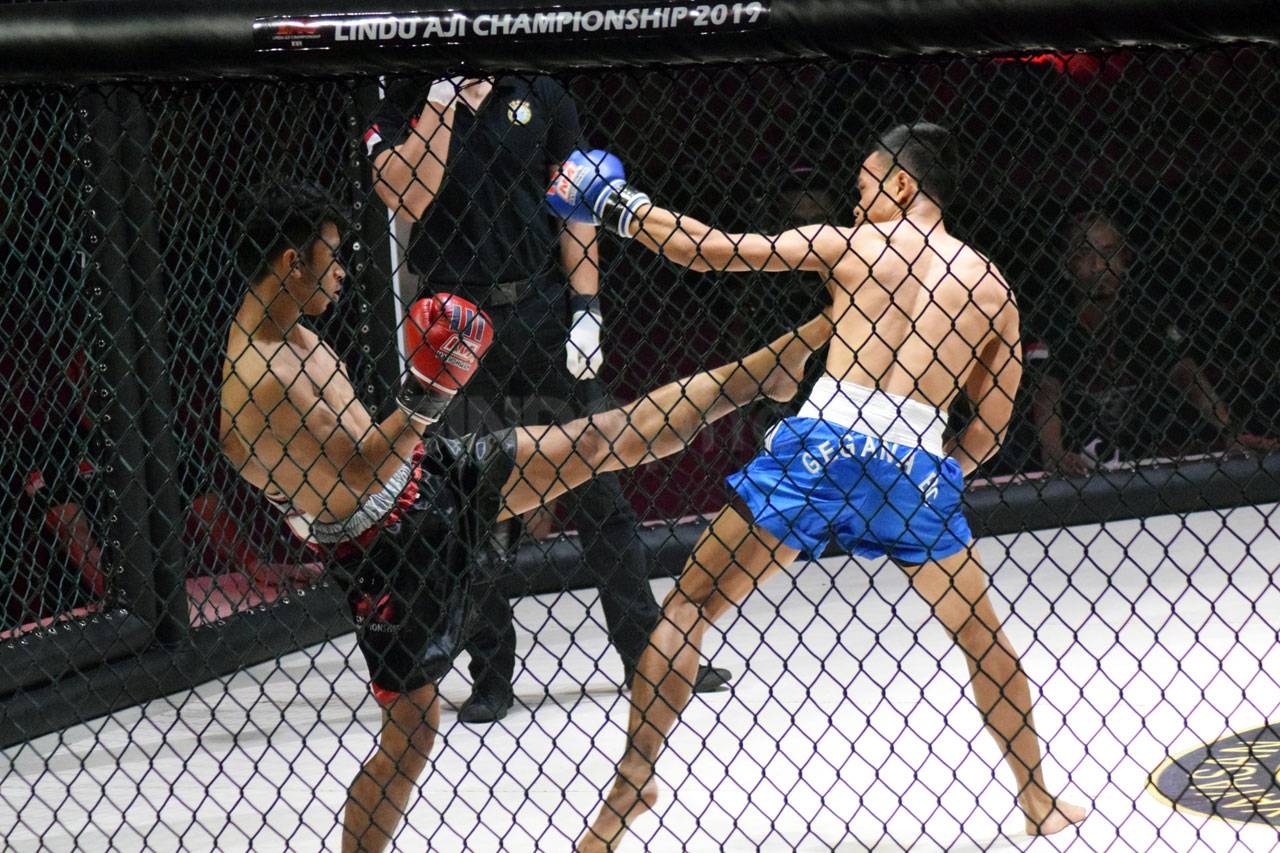 Serunya Duel Fighter...