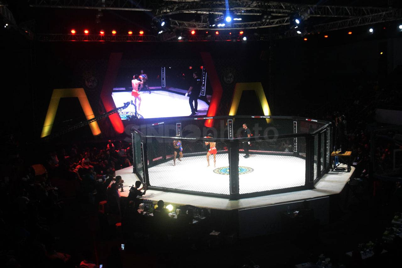 Serunya Duel Fighter...