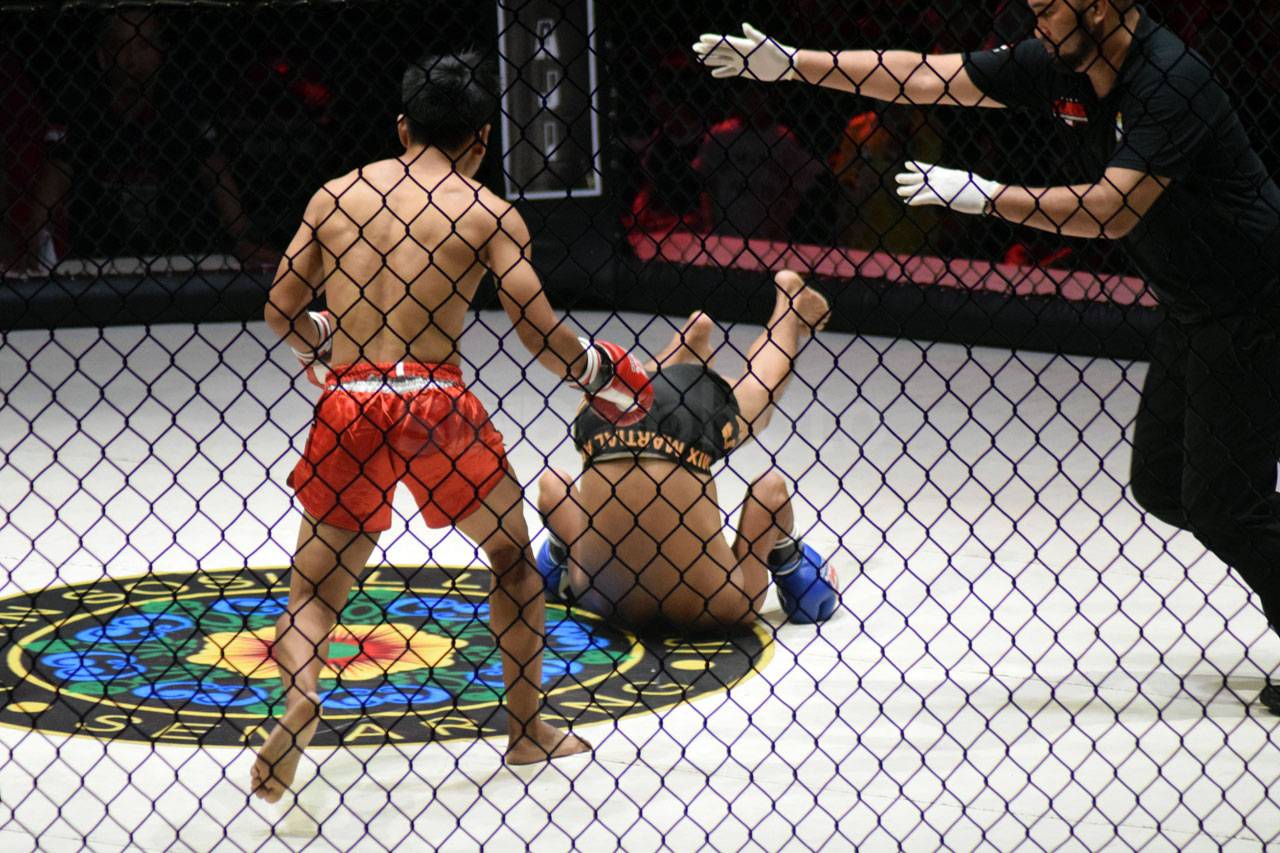 Serunya Duel Fighter...
