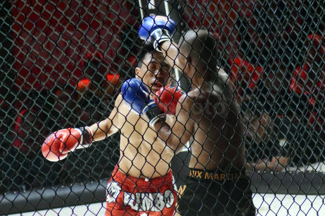 Serunya Duel Fighter...