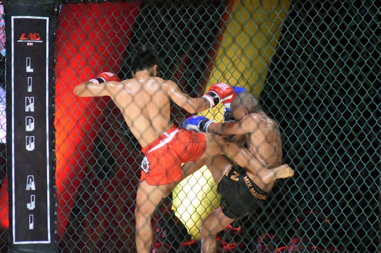 Serunya Duel Fighter...