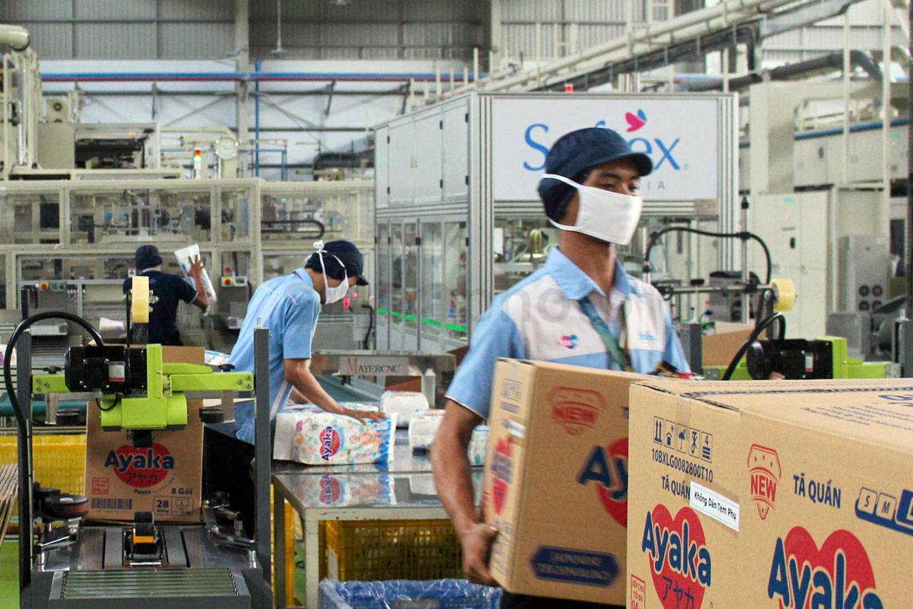 Softex Indonesia Siap...