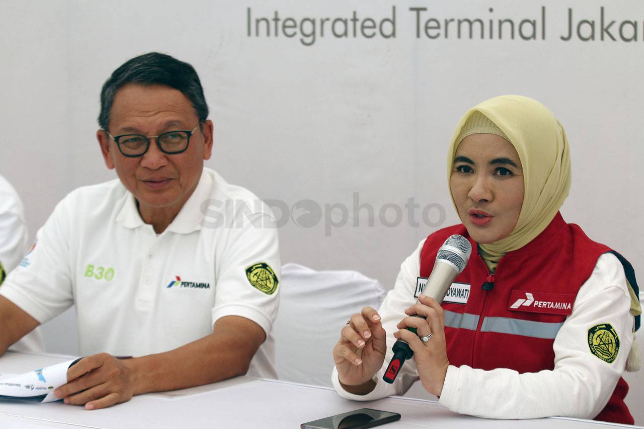 Menteri ESDM Tinjau...