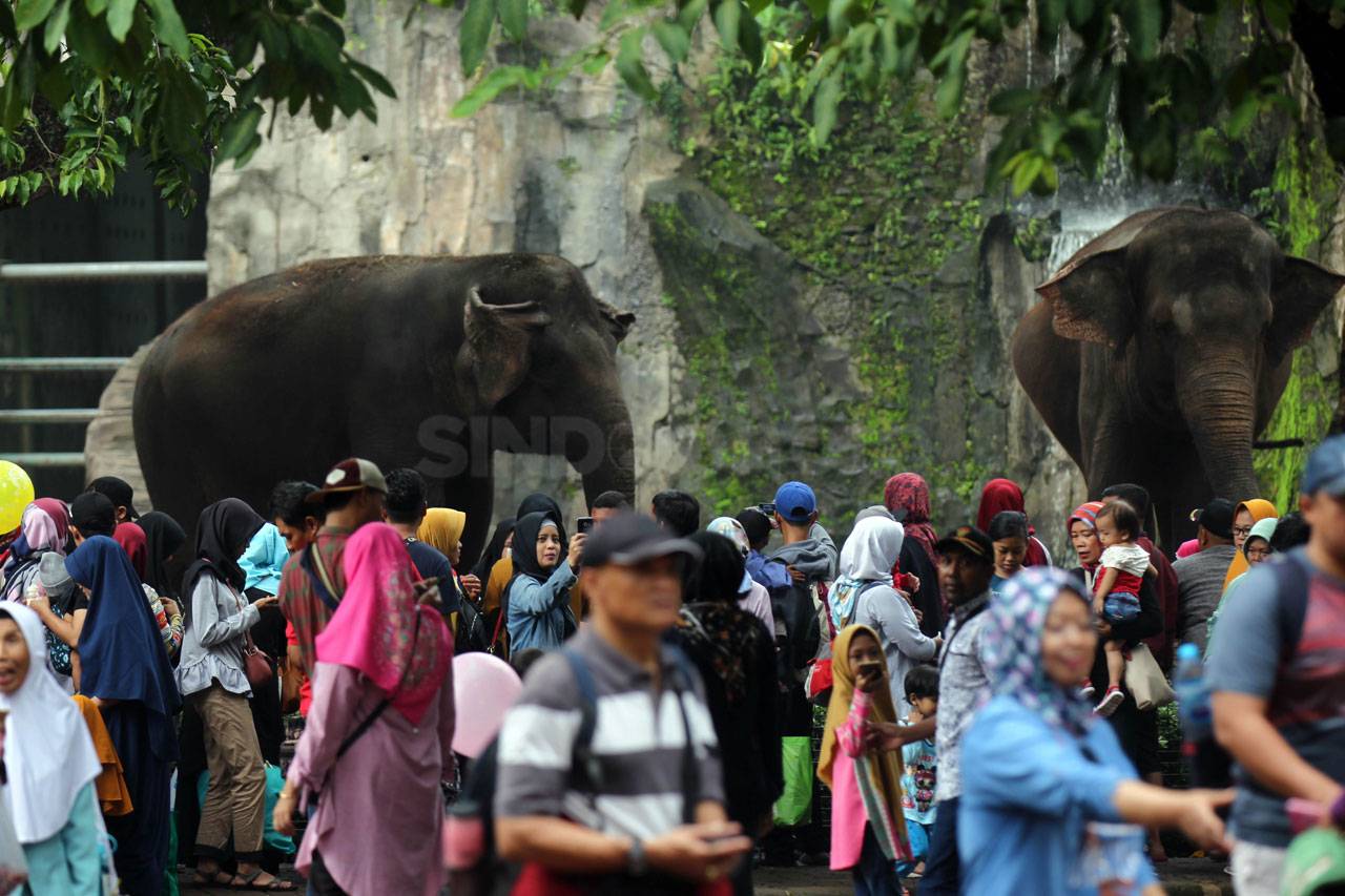 Ragunan Jadi Pilihan...