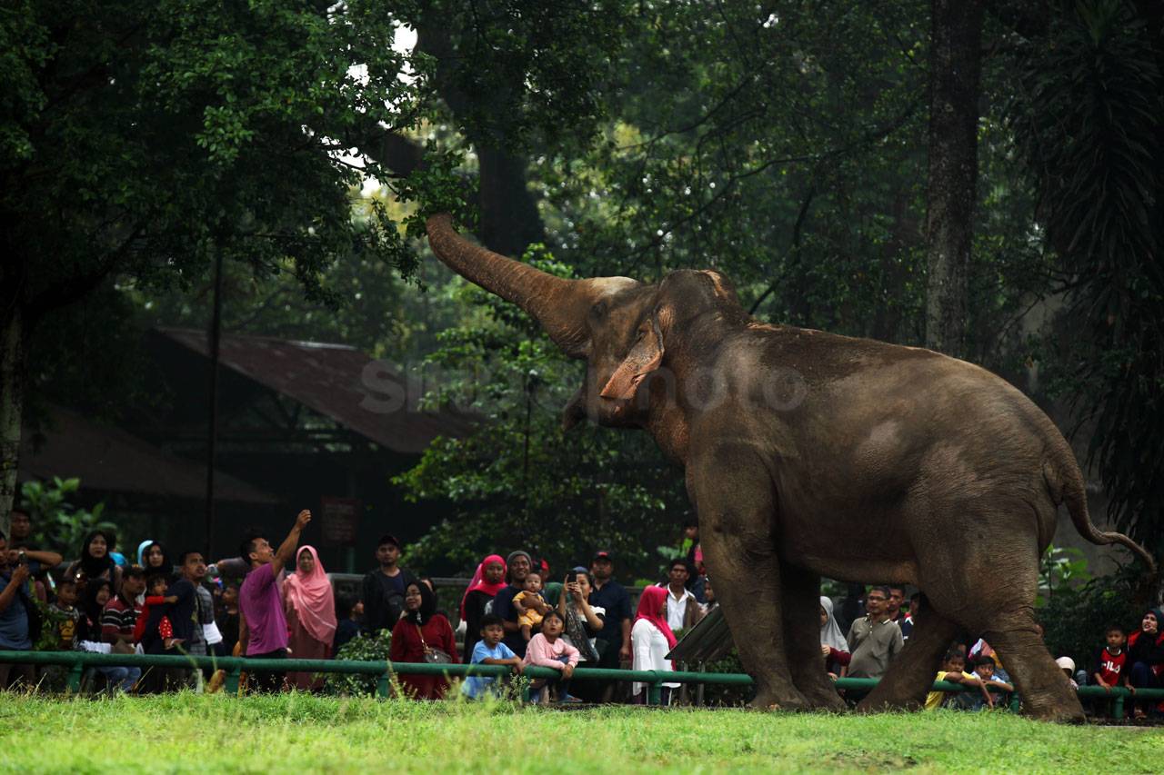 Ragunan Jadi Pilihan...