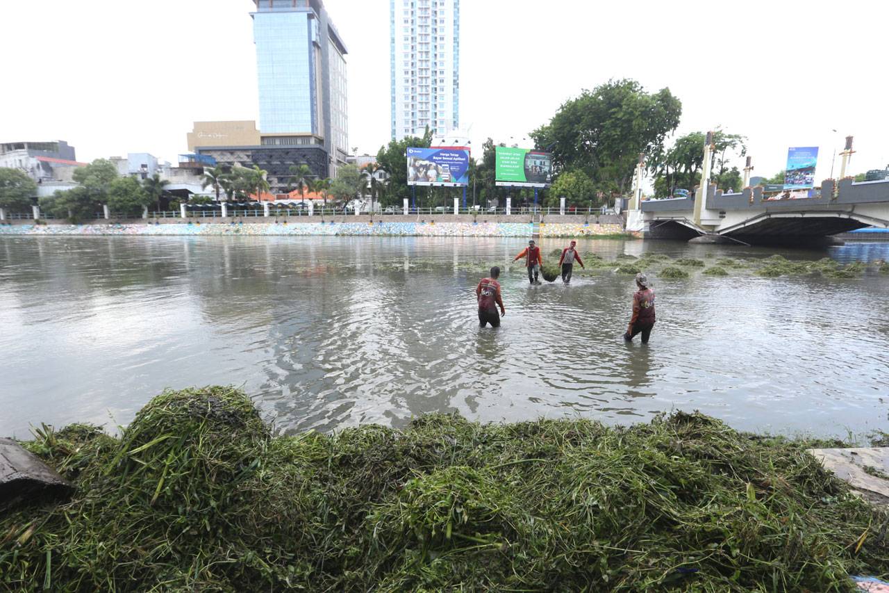 Musim Hujan Tiba, Pemkot...