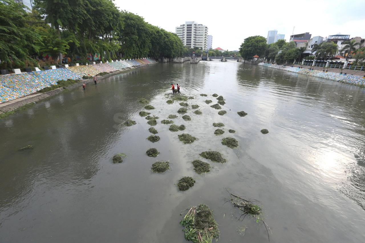 Musim Hujan Tiba, Pemkot...