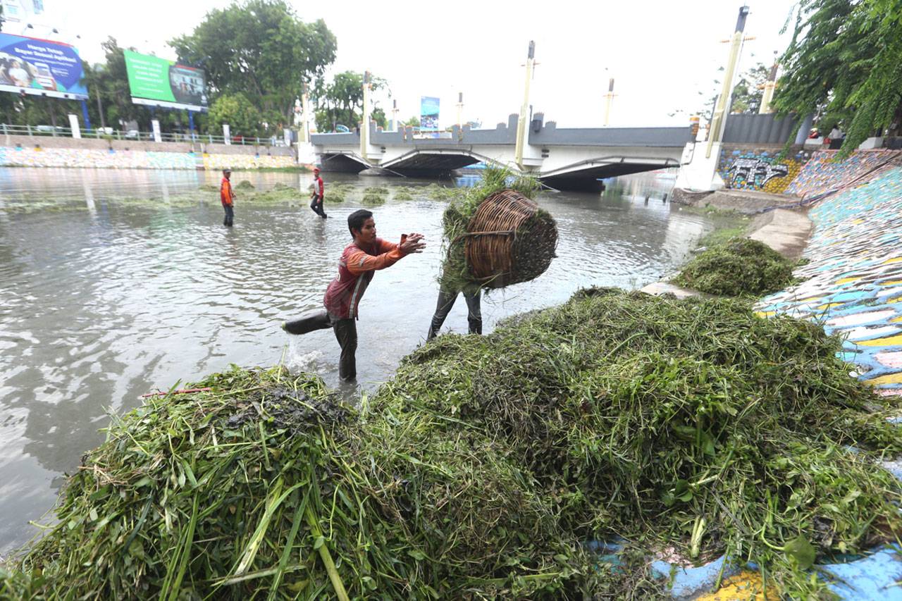 Musim Hujan Tiba, Pemkot...