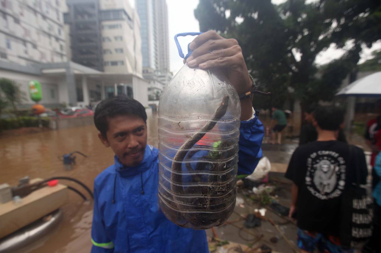 Petugas Sudin SDA Temukan...