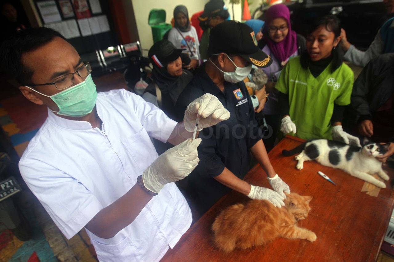 Pengobatan Hewan Peliharaan...