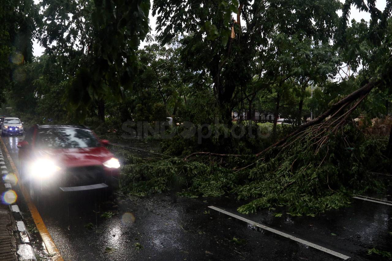 Puluhan Pohon di Surabaya...