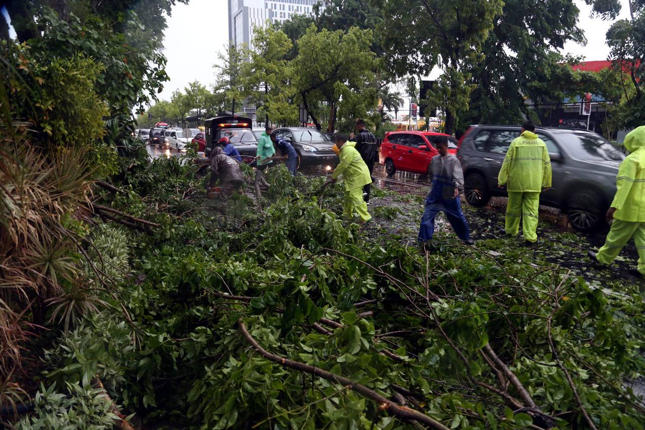 Puluhan Pohon di Surabaya...